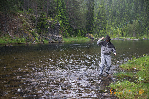 Fast fisk ved Beaver creek