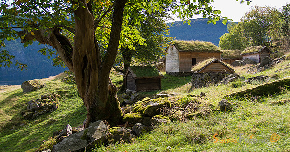 Frå Røynevarden