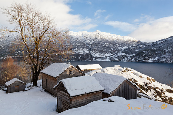 Røynevarden vinter