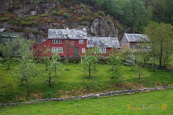 Viga i Hjelmeland