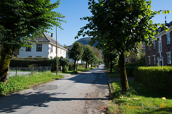 Frå Åbøbyen, Sauda