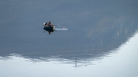 Fast fisk