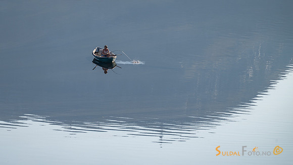 Fast fisk