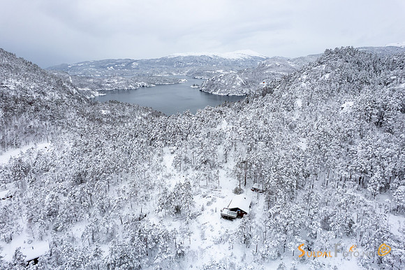 Hytte over Tysingvatnet