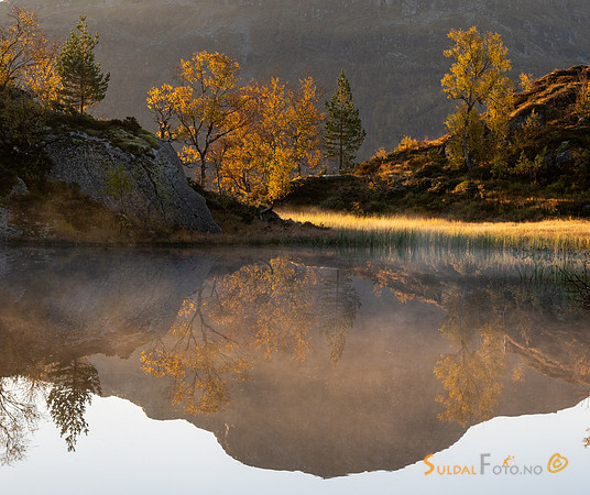 Haustfargar ved tjernet