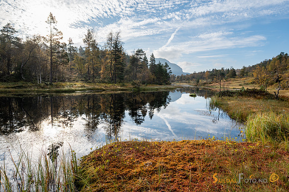 Hauststemning frå Mosvatnet, Gullingen