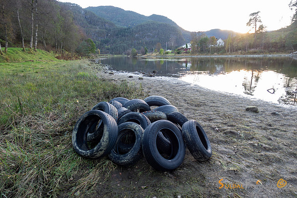 Fra ei ryddeøkt i Suldalslågen