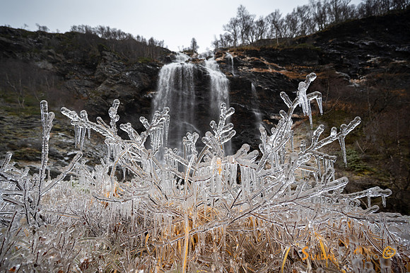 021124_ja_lun118-59