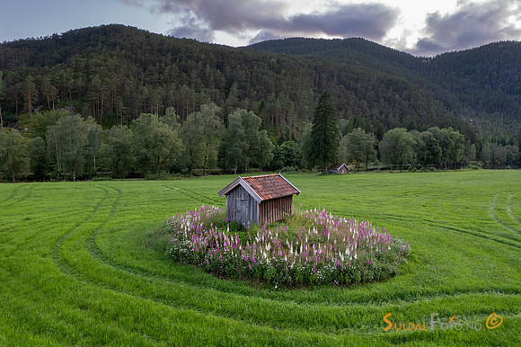 Jordbrukslandskap