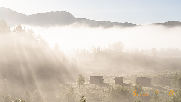 Stølen Rota i morgentåke