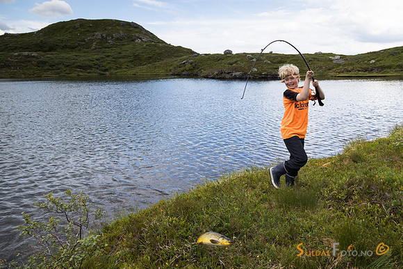 William med fast fisk