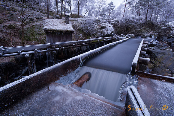 Kvednahola