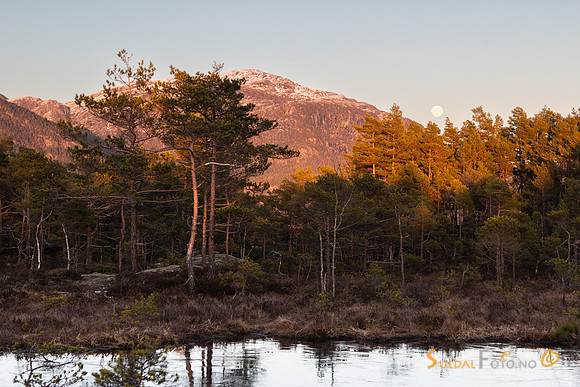 Kveldslys og fullmåne over Fiskebergåsen