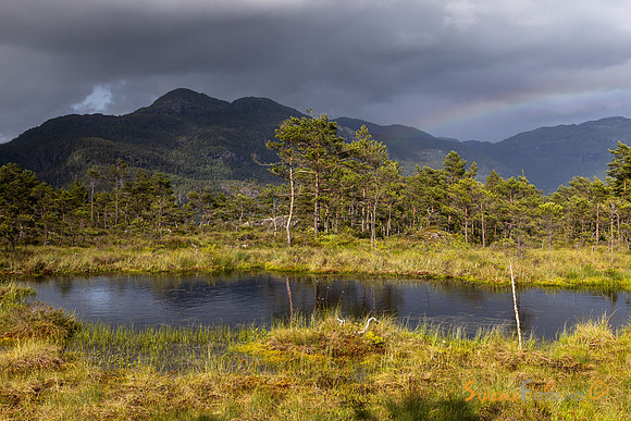 Tjern på Fiskebergåsen mot Hellandsnuten