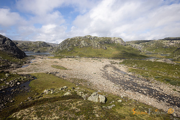 Breiavad