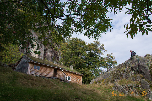 Frå Røynevarden