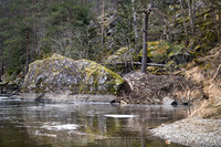 Beverhytte ved Førland i Suldalslågen