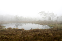 Skodde ved tjernet i Fiskebergåsen