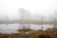 Skodde ved tjernet i Fiskebergåsen