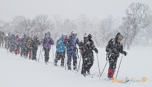 På ski i tett snøvær