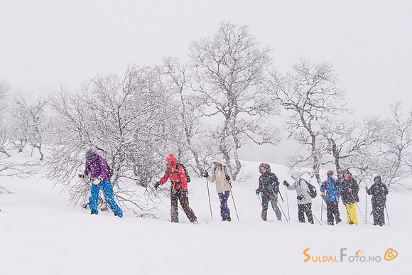 På ski i tett snøvær