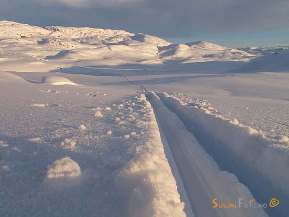 Skispor