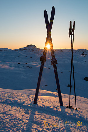 Ski i solnedgong