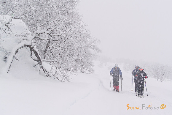 På ski i tett snøvær
