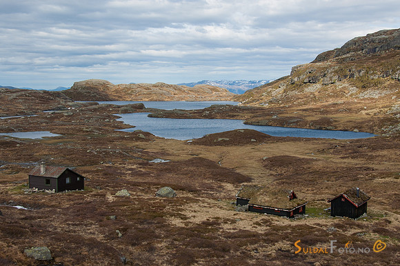 Skutestølen