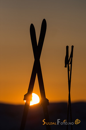 Ski i solnedgong