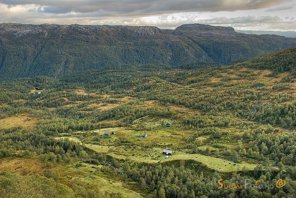 Ørekvam
