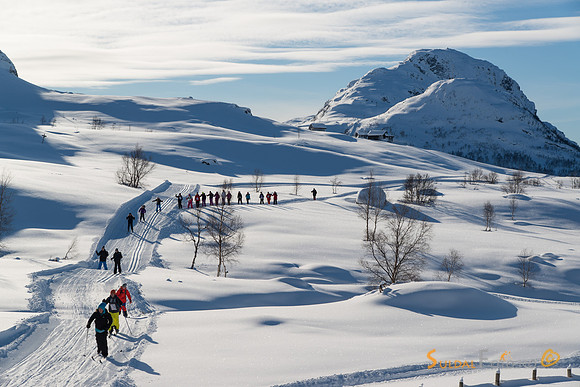 I skiløypa
