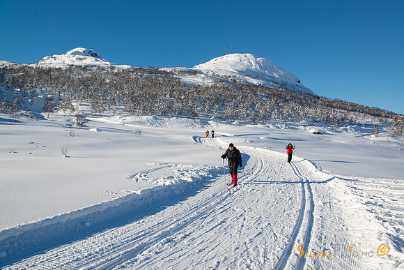 Skiløype i Breiastølsdalen