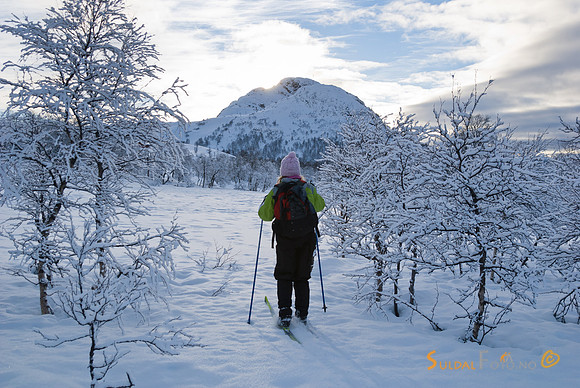 Flotte skiforhold