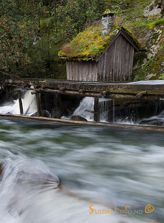 Kvednahola