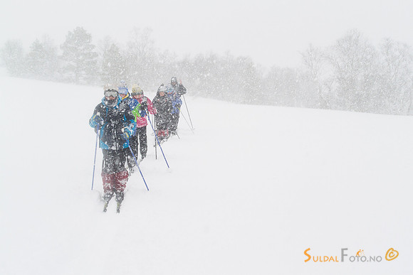 På ski i tett snøvær