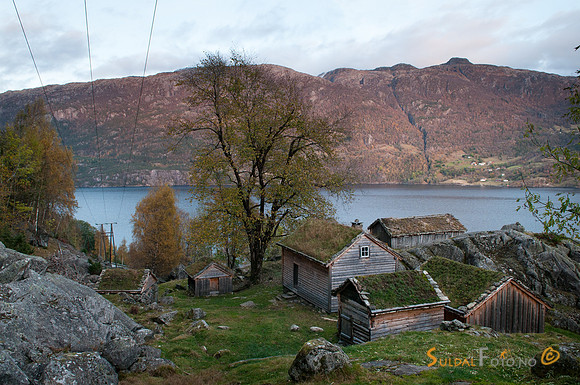 Røynevarden