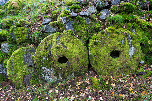 Kvednahola
