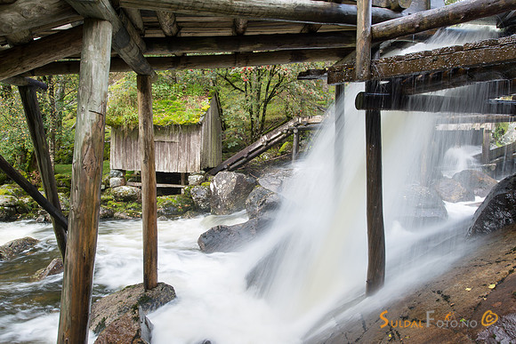 Kvednahola