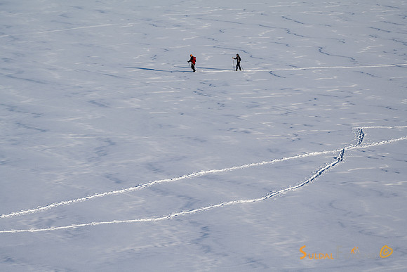 240121_ja_lun303-146