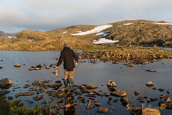 Med ørretfangst på Sørøya