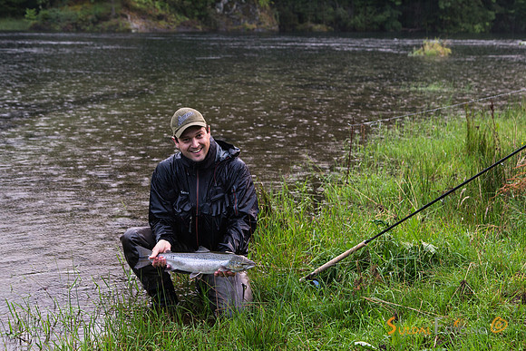 Frode med svidde på 1,8 kilo