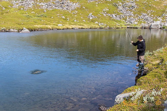 Fast fisk i fjellet