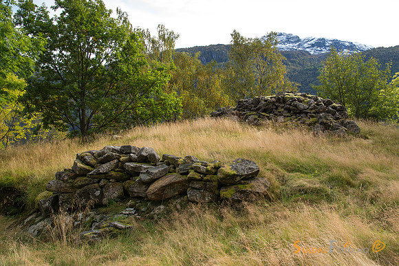 Frå Røynevarden