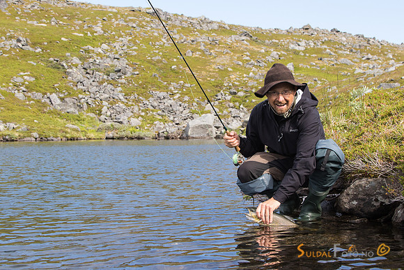 Fast fisk i fjellet