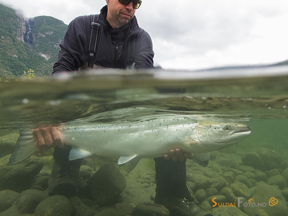 Fisker med laks i Lærdalselva