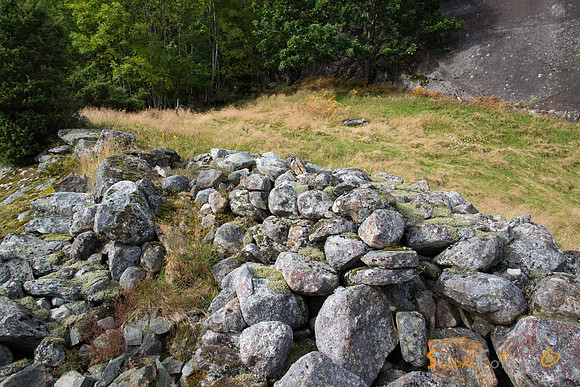 Frå Røynevarden
