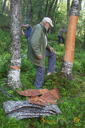 Neverskjæring for Ryfylkemuseet