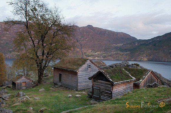 Røynevarden