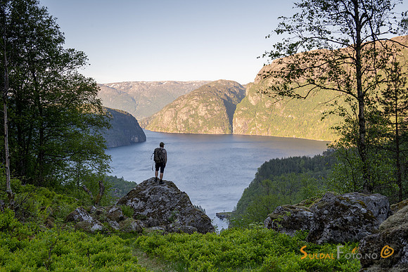 Fra Hylsskaret. Suldalsvatnet.